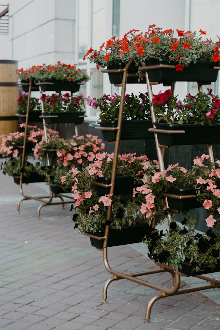 Charming multi-tiered flower pots with vibrant blooms on city street.