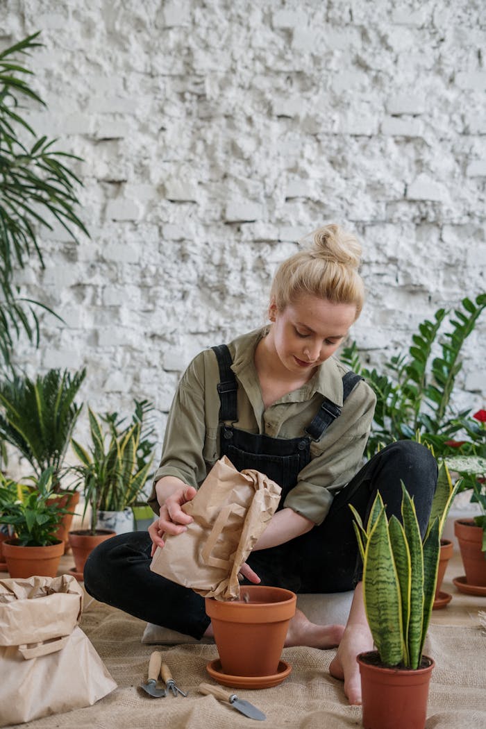 A young woman engaged in indoor gardening, planting various herbs and plants in terracotta pots.