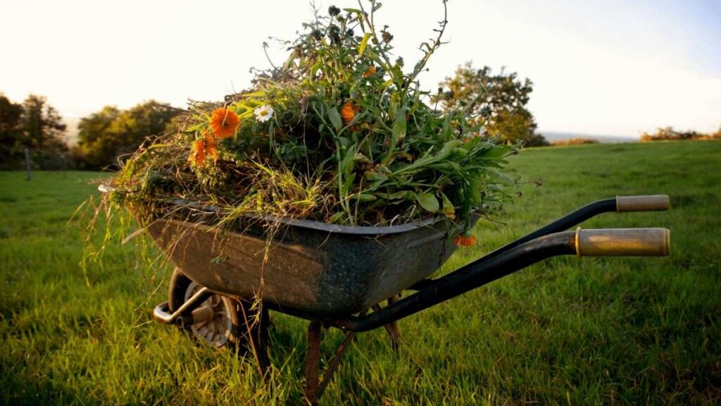 Green waste removal