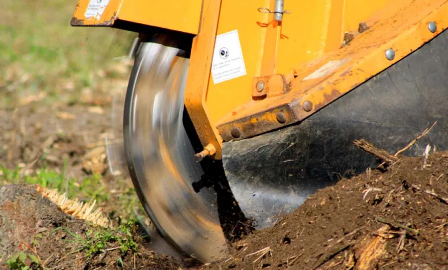 tree stump removal